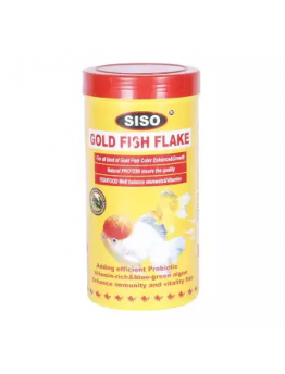 اكل السمكة الذهبية و سمكة الكوي 1000g
